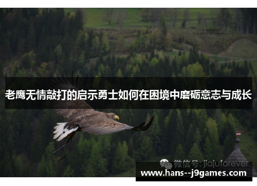 老鹰无情敲打的启示勇士如何在困境中磨砺意志与成长